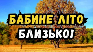 Коли до України завітає бабине літо: синоптик назвала точні дати