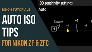 Tips for Using Auto ISO in the Nikon Zf & Zfc