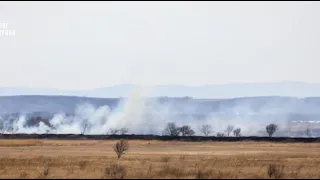 В Приморье сгорел природный парк #Хасанский