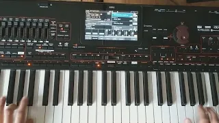 Żółte Tulipany / желтые тюльпаны (danekoo1 Cover Korg Pa4x)