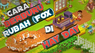 Cara Menangkap & Mengumpulkan Rubah (FOX) | Hay Day Tutorial #1