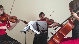 G. E. Music Project - ONE DAY - PIRATES OF THE CARRIBEAN: AT WORLD'S END (String Trio Cover)