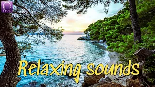 Relaxing Music to Relieve Stress 🎐 Anxiety and Depression • Mind, Body 🐬 Soothing music for nerves