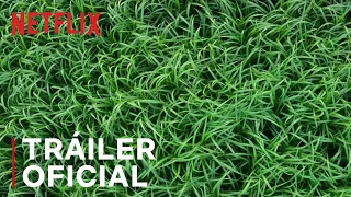 En la hierba alta | Tráiler oficial | Netflix