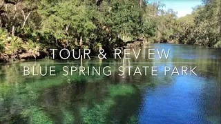 Blue Spring State Park Tour & Review