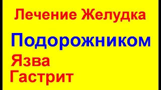 ПОДОРОЖНИК ЛЕЧИТ ЖЕЛУДОК ЯЗВУ И ГАСТРИТ. Как правильно лечить боль в желудке подорожником?