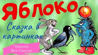 ЯБЛОКО 🍎 Сказки Сутеева| ЧИТАЕТ ФЕЯ СТЕЛЛА ❤️ Детская аудиосказка с картинками |МИШКА РЕШИЛ ПРОБЛЕМУ