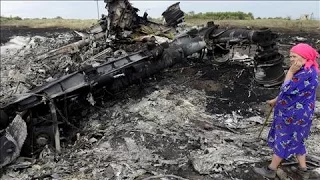 Flight MH17 Downed by 'High-Energy Objects'