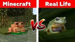 Minecraft VS Real Life (mobs, items, characters,  animals) Compilation | Minecraft 1.19 update