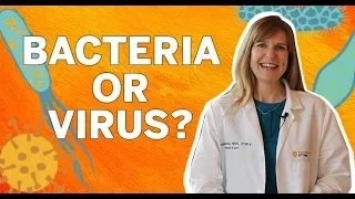 Difference Between Viral and Bacterial Infections