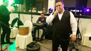 Kolo - alagyaz - live in belgium