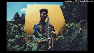 Masego, Don Toliver - Mystery Lady (H1rms remix)