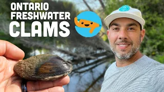 I found some Huge Freshwater Clams!