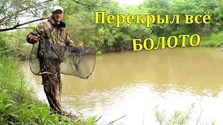 РЫБАЛКА НА ПАУК МОРДУШКУ РЕЗИНКУ. ПЕРЕГОРОДИЛИ СНАСТЯМИ ВСЁ БОЛОТО.