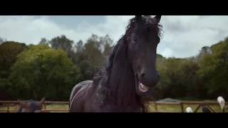 Volkswagen - Laughing Horses | 2016