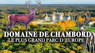 Domaine de Chambord : le plus grand parc d'europe - Des Racines et des Ailes - Documentaire complet