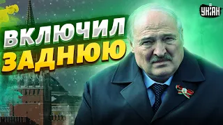 Картофельный мачо при смерти? Лукашенко унюхал конец и напоследок кинул Путина
