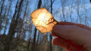 “Picking Up Rocks In The Creek And Herping North Georgia”