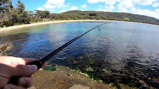 Tasmania squid fishing- land based
