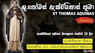 St Thomas Aquinas | ශු. තෝමස් ඇක්වයිනාස් තුමා |Lifestory| #thomasaquinas #catholic #lahirualwis 🇱🇰