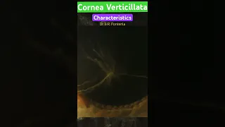 Cornea Verticillata. Characteristics.
