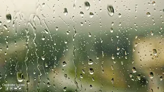 Музыка дождя очень хороша. Beautiful music of the rains.