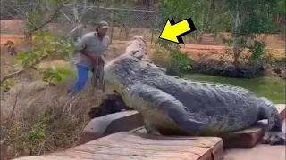 Он Зря Сделал Это! Случаи с Крокодилами Снятые на Камеру