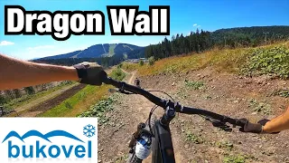 ТРАССА DRAGON WALL в БУКОВЕЛЬ БАЙК ПАРКЕ. Полный спуск, обзор, отзыв. 14 подъёмник