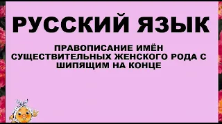 Русский язык. 2 класс. Правописание имён существительных женского рода с шипящими на конце.