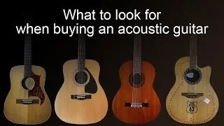 Buying an acoustic guitar.  (things to look out for when you buy an acoustic guitar)