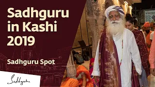 Sadhguru in Kashi | Sadhguru Spot | Shemaroo Spiritual Life