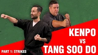 Tang Soo Do vs Kenpo: STRIKES | ART OF ONE DOJO