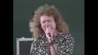 Robert Plant & Jimmy Page (Live At Knebworth Festival - 1990)