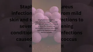 Staphylococcus aureus bacteria