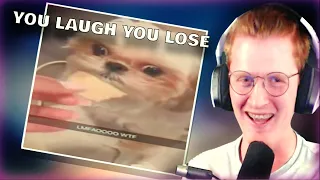 Baz Reacts To: You Laugh, You Lose...