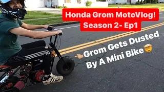 Honda Grom “Unusual Encounters”