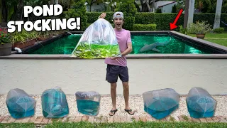 I Bought HUNDREDS of FISH For My Backyard Pond!! *the shark egg hatched*