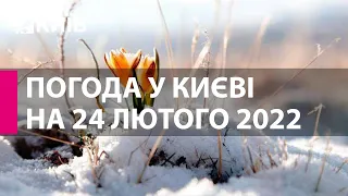 Погода у Києві на 24 лютого 2022