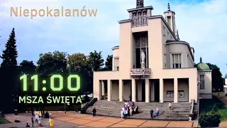 11.09 g.11:00 Msza na żywo | NIEPOKALANÓW - Bazylika