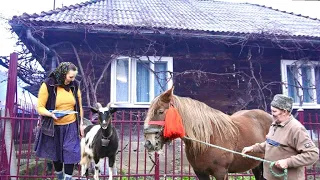 Raising animals far away from civilization in the Carpathian Mountains. Isolated Village.