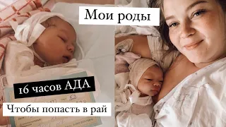 МОЯ ИСТОРИЯ РОДОВ|16 ЧАСОВ АДА