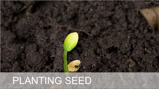 BVOVN - Sowing Seed