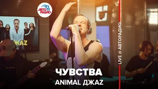 Animal ДжаZ - Чувства (LIVE @ Авторадио)