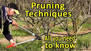 Pruning Fruit Trees | Pruning Techniques | Essential Pruning Course