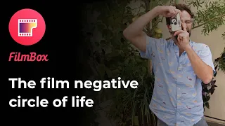 The Film Negative Circle Of Life