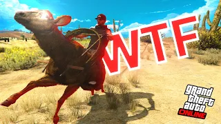 TOP VÉHICULES WTF ! GTA 5