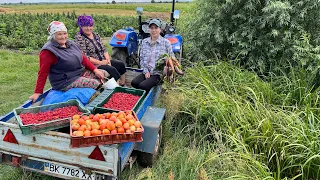 Жіночки на допомогу 💥💥💥Західна Україна! Малина Полана 2023