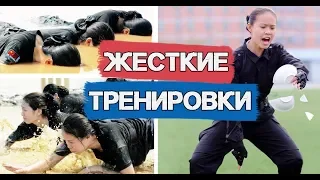 Как дрессируют Китайских стюардесс