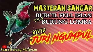 MASTERAN BURUNG KECIL FULL ISIAN || Suara Burung Kecil MASTERAN BURUNG LOMBA - Bikin JURI NGUMPUL