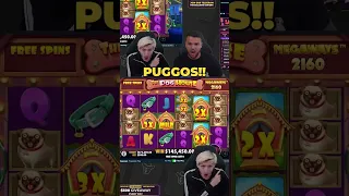 DOG HOUSE MEGAWAYS GIVES WILDS EVERYWHERE! HUGE INSANE WIN! #slots #casino #bigwin